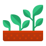 icons8-growing-plant-96